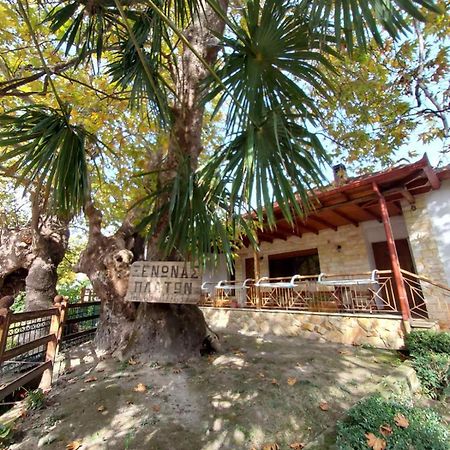 Guesthouse Platon Órma 外观 照片