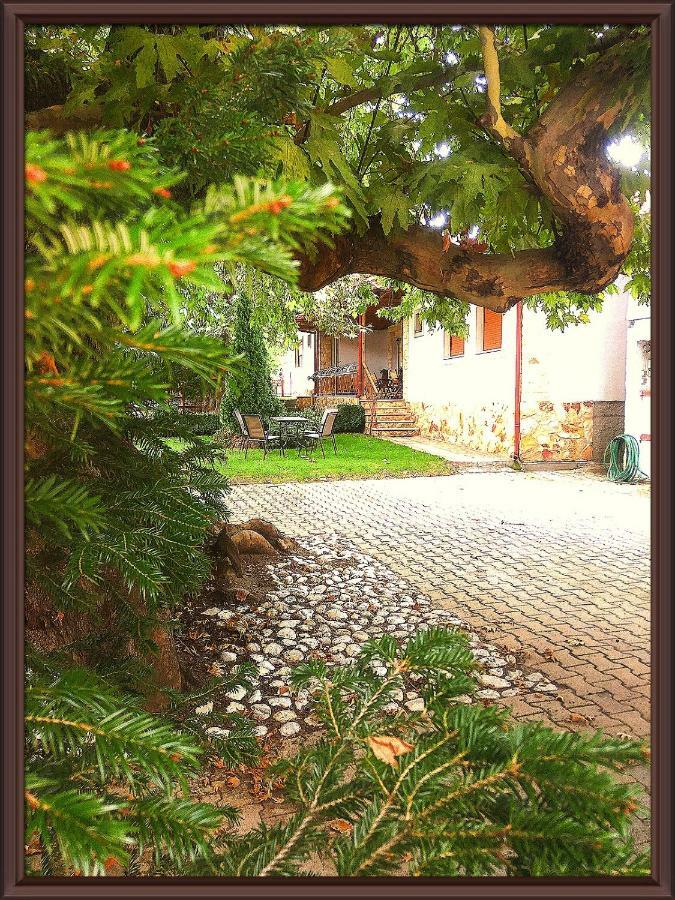 Guesthouse Platon Órma 外观 照片