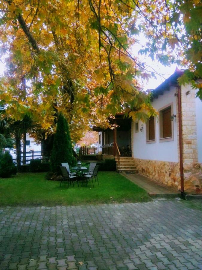 Guesthouse Platon Órma 外观 照片