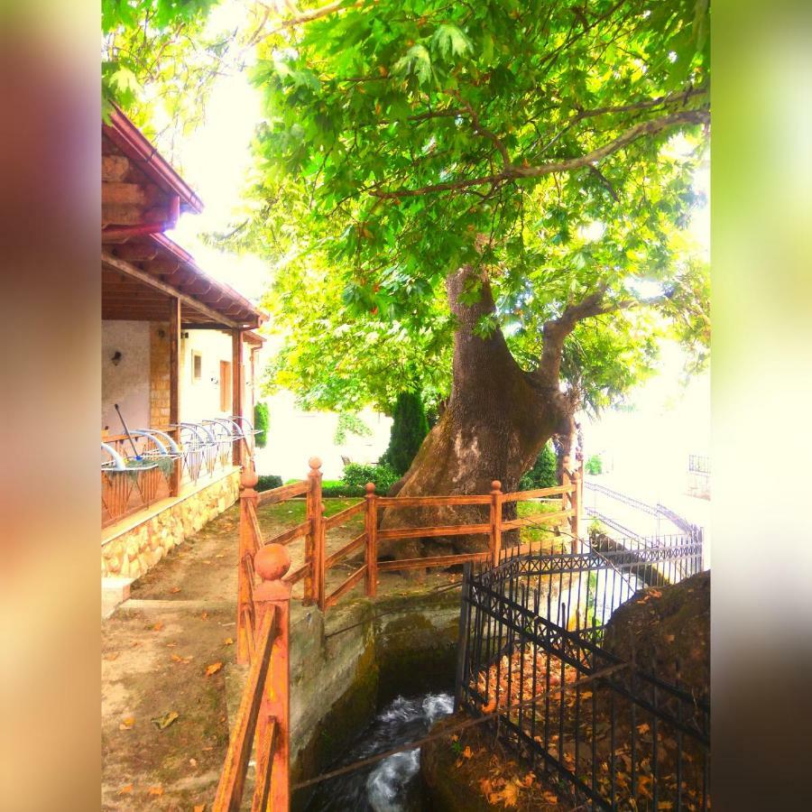 Guesthouse Platon Órma 外观 照片