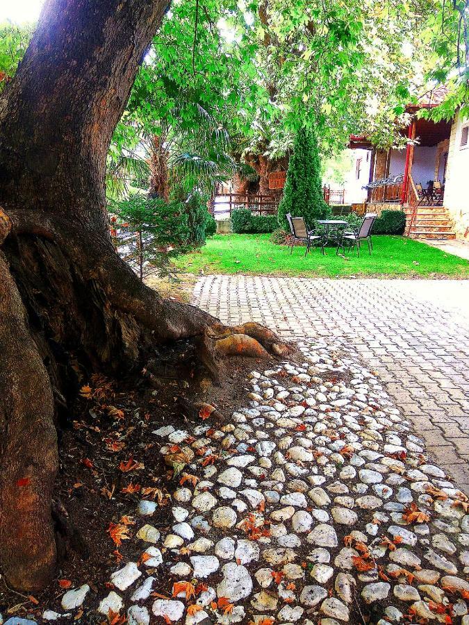 Guesthouse Platon Órma 外观 照片
